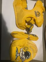 Dog Harness with Lead